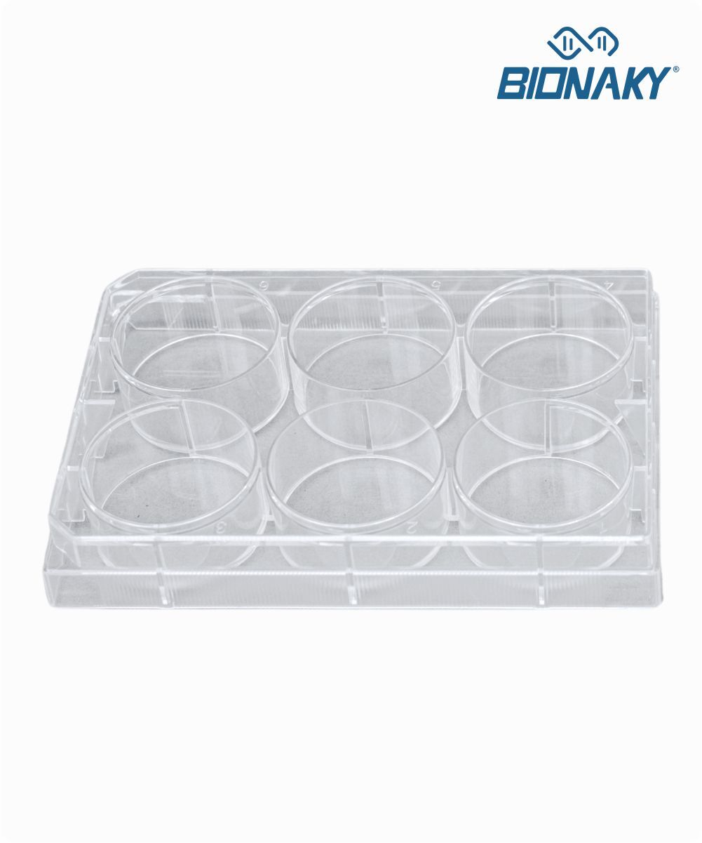 Microplaca para cultura celular com 6 orifícios